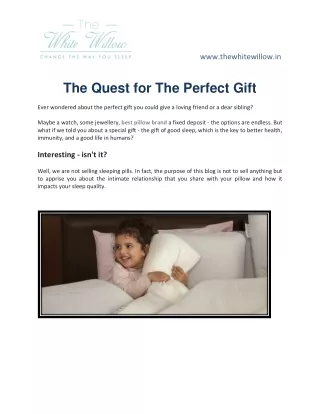 The Quest for The Perfect Gift