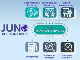 Juno Financial Services | Affordable Bookkeeping Services USA | Outsourcing Bookkeeping Services