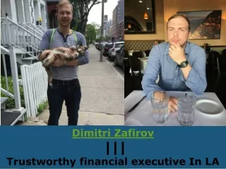 Dimitri zafirov |  better services while reducing costs of financial functions