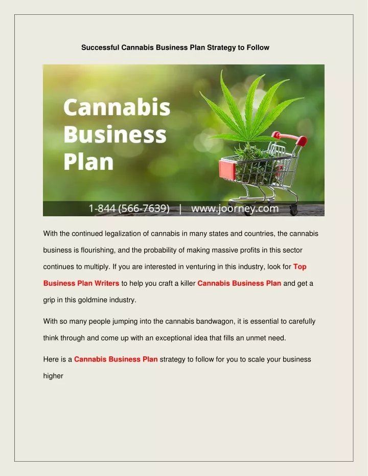 successful cannabis business plan strategy