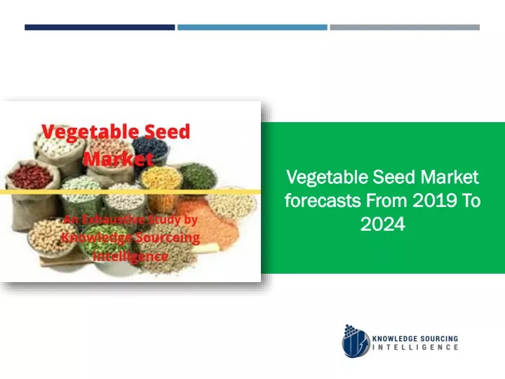 vegetable seed market forecasts from 2019 to 2024
