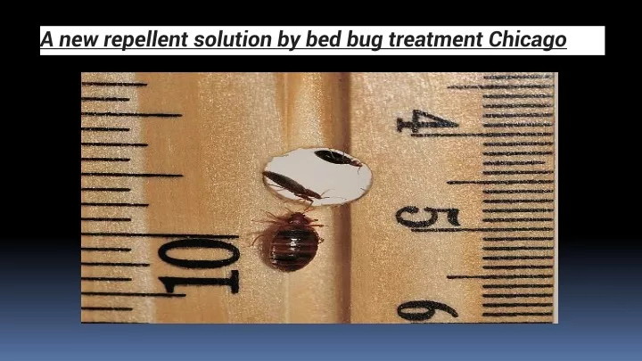 a new repellent solution by bed bug treatment