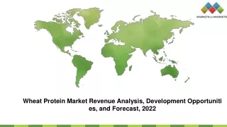 wheat protein market revenue analysis development