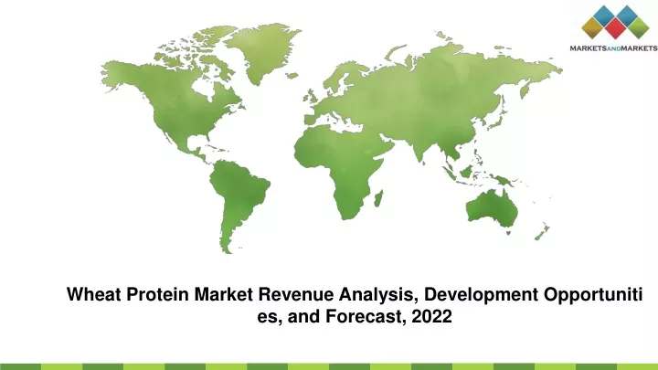 wheat protein market revenue analysis development