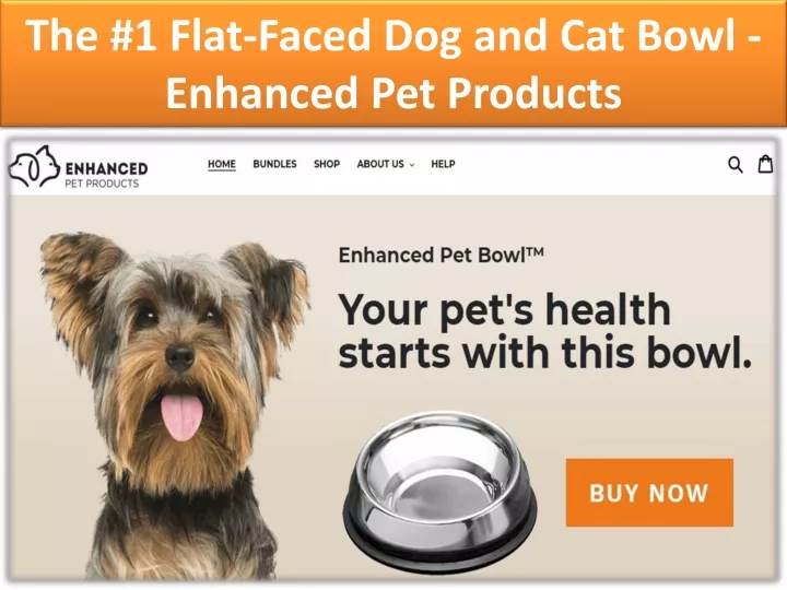 the 1 flat faced dog and cat bowl enhanced pet products