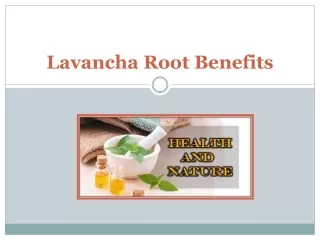 Surprising Lavancha Root Benefits & Its Practical Uses