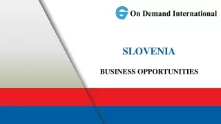 Business Investment in Slovenia