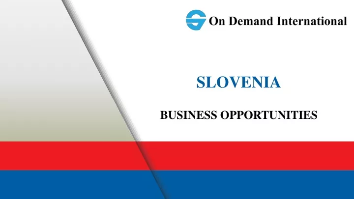 slovenia business opportunities