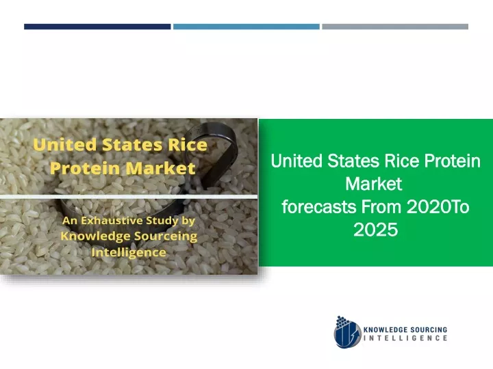 united states rice protein market forecasts from