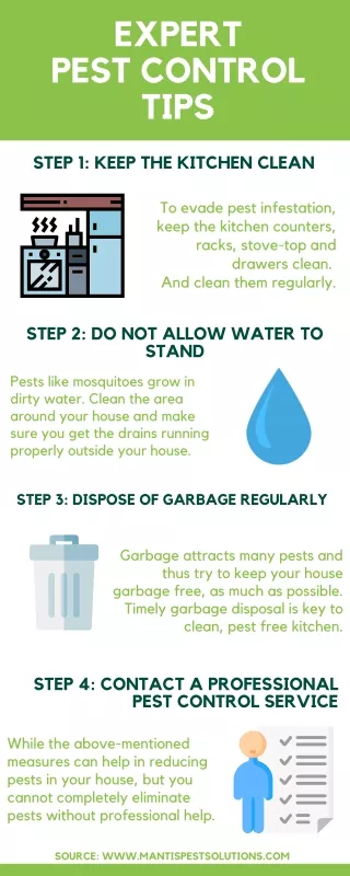 Expert pest control tips