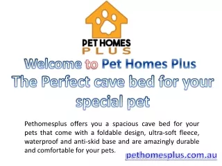 The Perfect cave bed for your special pet