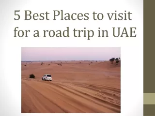 5 Best Places to visit for a road trip in UAE