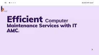 efficient computer maintenance services with