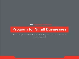 The Paycheck Protection Program for Small Businesses
