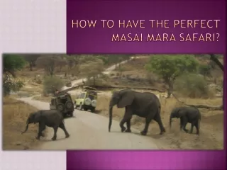 How to Have the Perfect Masai Mara Safari?