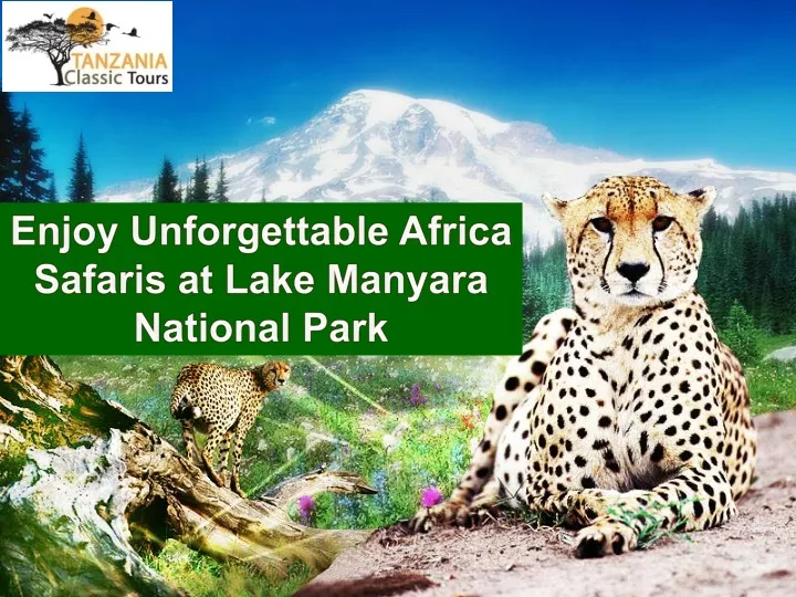 enjoy unforgettable africa safaris at lake