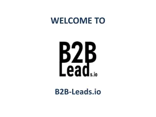 B2B-Leads.io