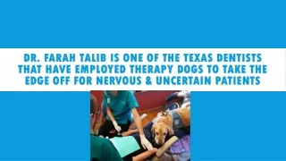 Dr. Farah Talib - Texas Dentist That Have Employed Therapy Dogs to Take Edge Off For Nervous & Uncertain Patients