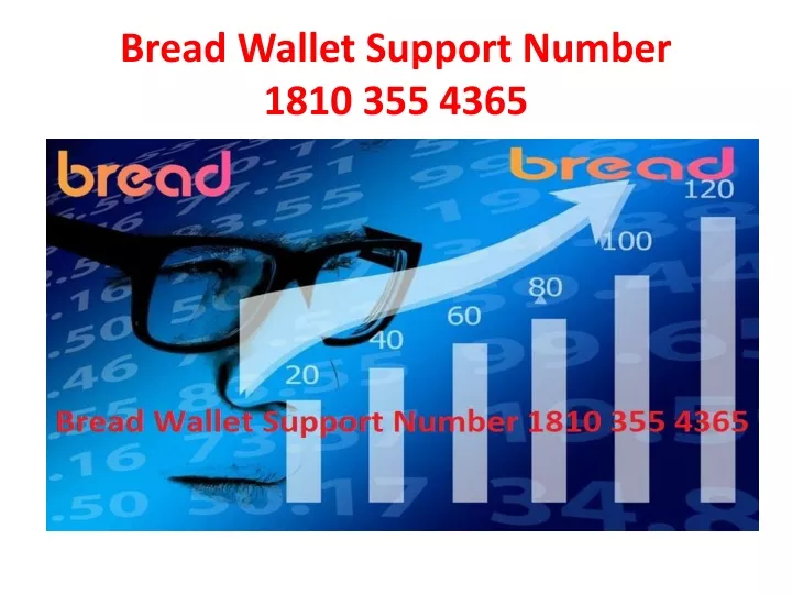 bread wallet support number 1810 355 4365