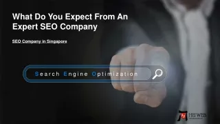what do you expect from an expert seo company