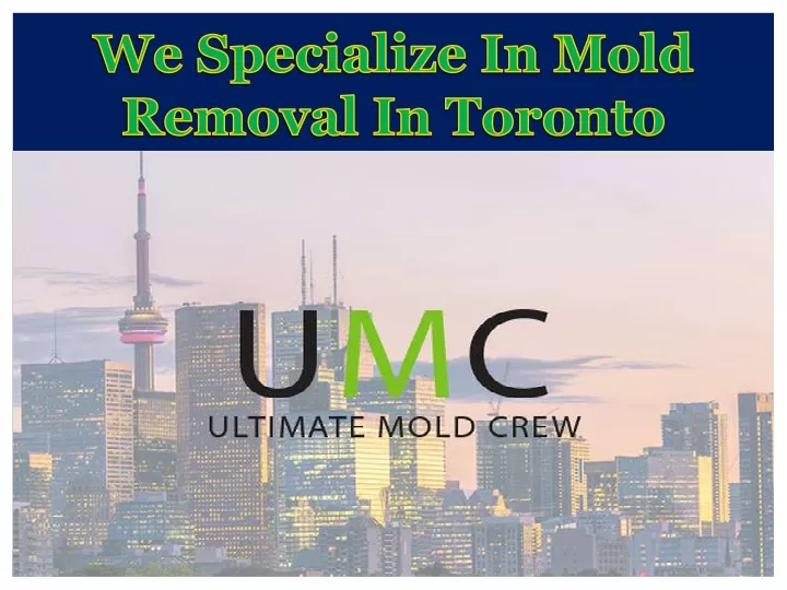 we specialize in mold removal in toronto