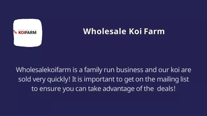 wholesale koi farm