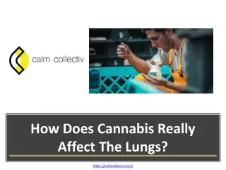 How does cannabis really affect the lungs