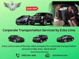 Corporate Transportation Services by Ecko Limo