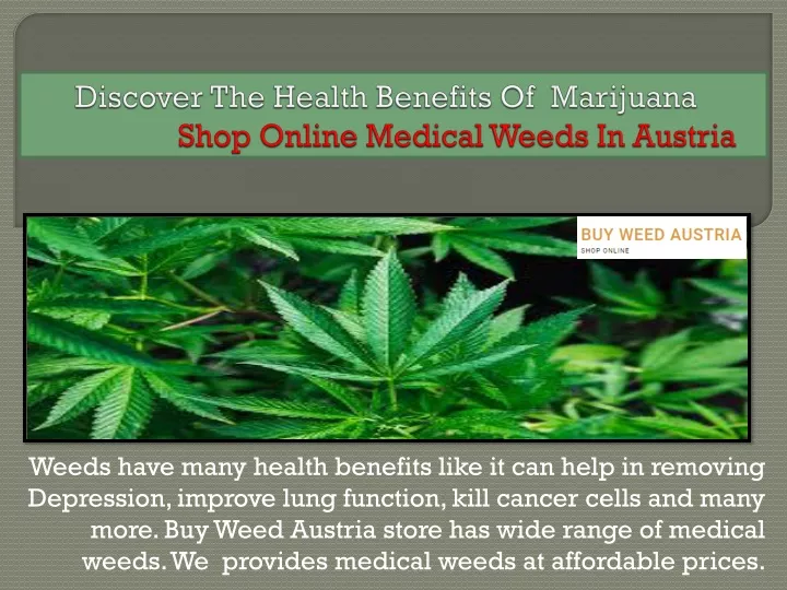 discover the health benefits of marijuana shop online medical weeds in austria