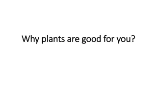 why plants are good for you