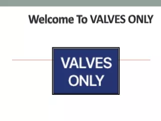 Dual Disc Check Valve Manufacturer In Germany - Valves Only Europe
