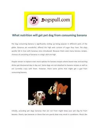 Can Dog Eat Banana Chips? Is Banana Ok For Dogs? - Dogs Pull