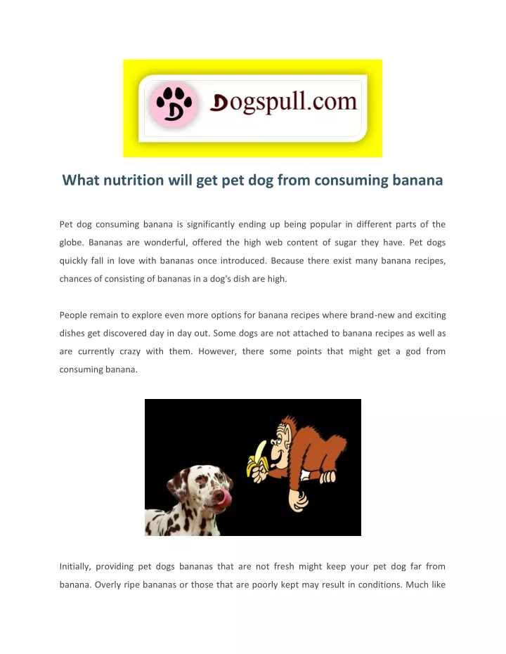 what nutrition will get pet dog from consuming