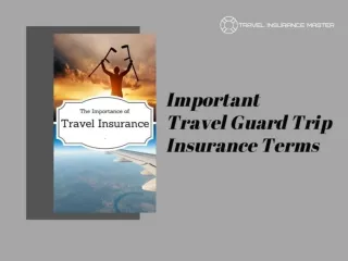 Important Travel Guard Trip Insurance Terms
