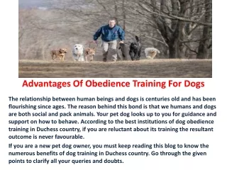 Advantages of obedience training for dogs