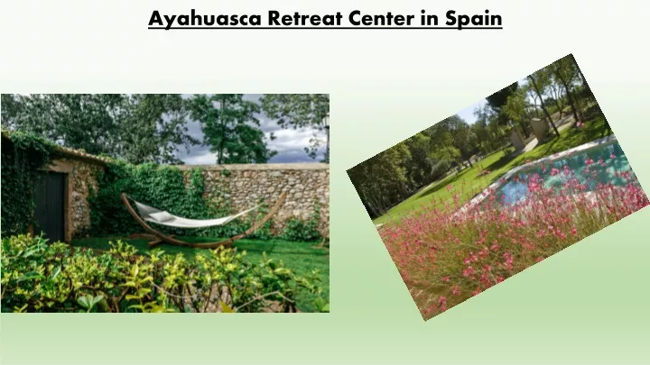ayahuasca retreat center in spain