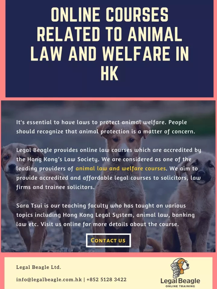 online courses related to animal law and welfare