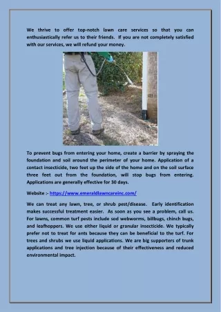 we thrive to offer top notch lawn care services