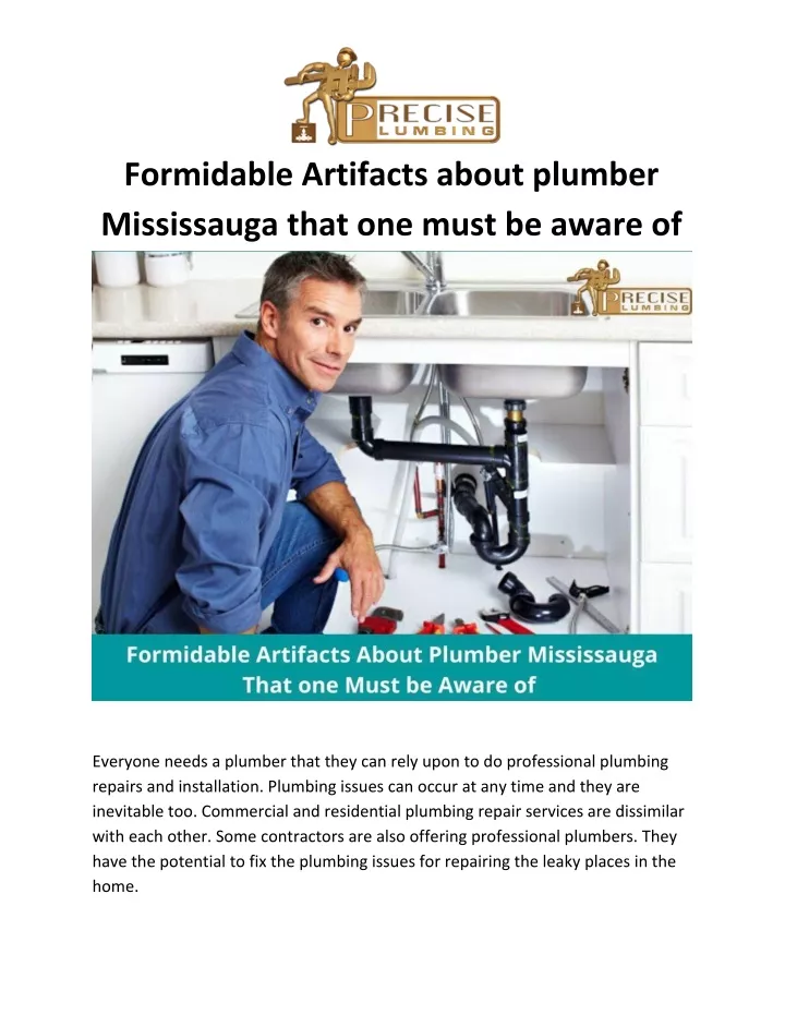 formidable artifacts about plumber mississauga