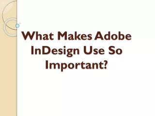 Importance of Adobe Illustrator in Graphic Designing