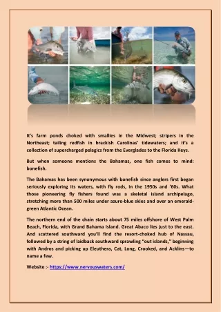 Bahamas Best Bonefishing - Nervouswaters.com