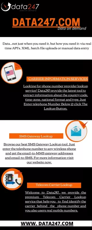 Top Telecom Carrier Lookup Service | Data247