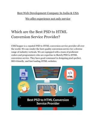 best web development company in india usa