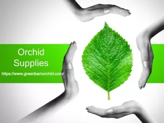 Orchid Supplies