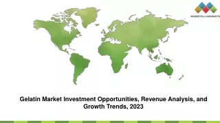 Gelatin Market Investment Opportunities, Revenue Analysis, and Growth Trends, 2023