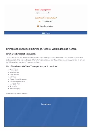 Chiropractic Services In Chicago