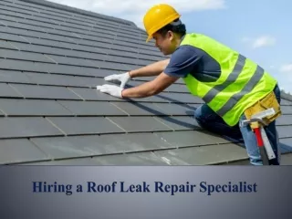 Hiring a Roof Leak Repair Specialist