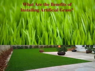 What Are the Benefits of Installing Artificial Grass?