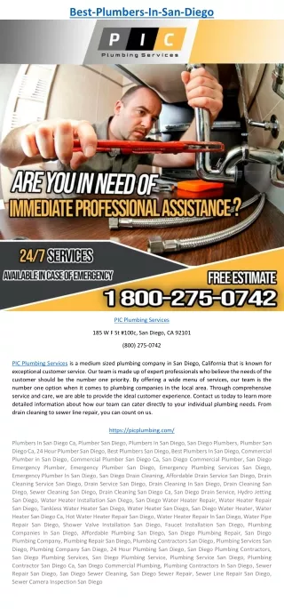 best plumbers in san diego