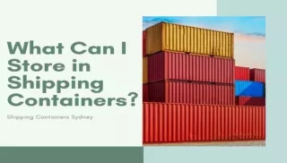 What can I Store in Shipping Containers